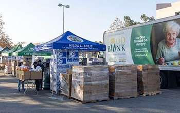 image of food bank 