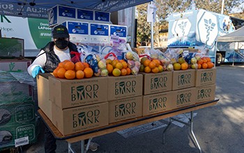 image of food bank 