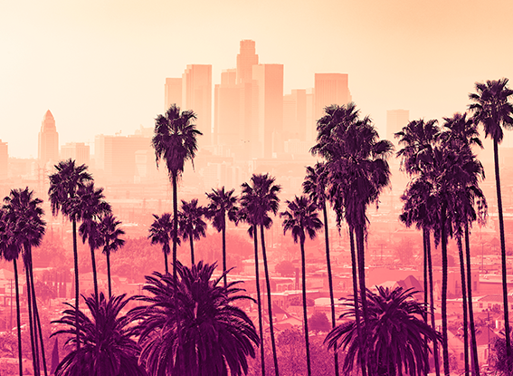 Los Angeles skyline with palm trees in the foreground